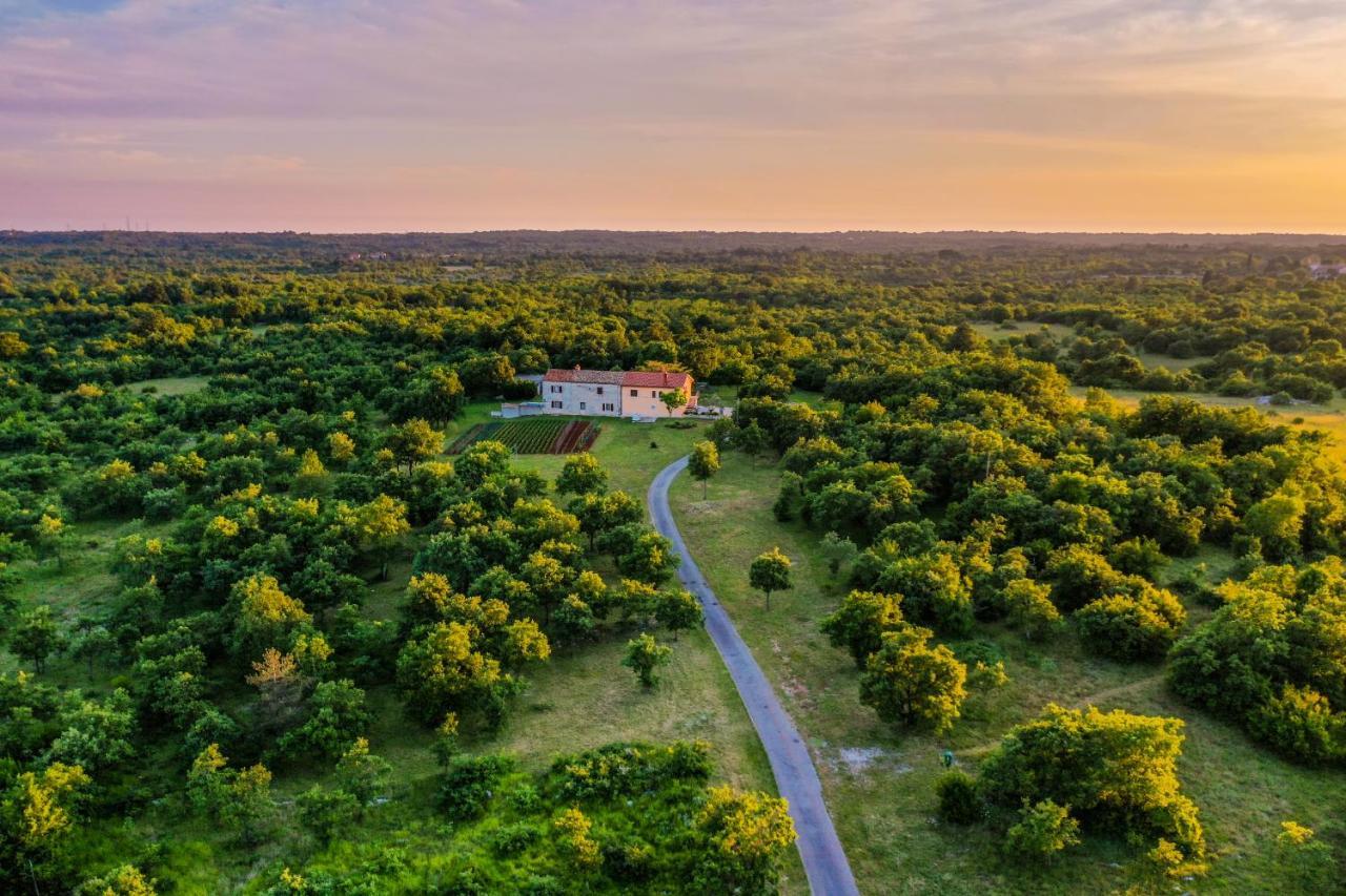 House Gracijela, Village Bulici Šajini Kültér fotó